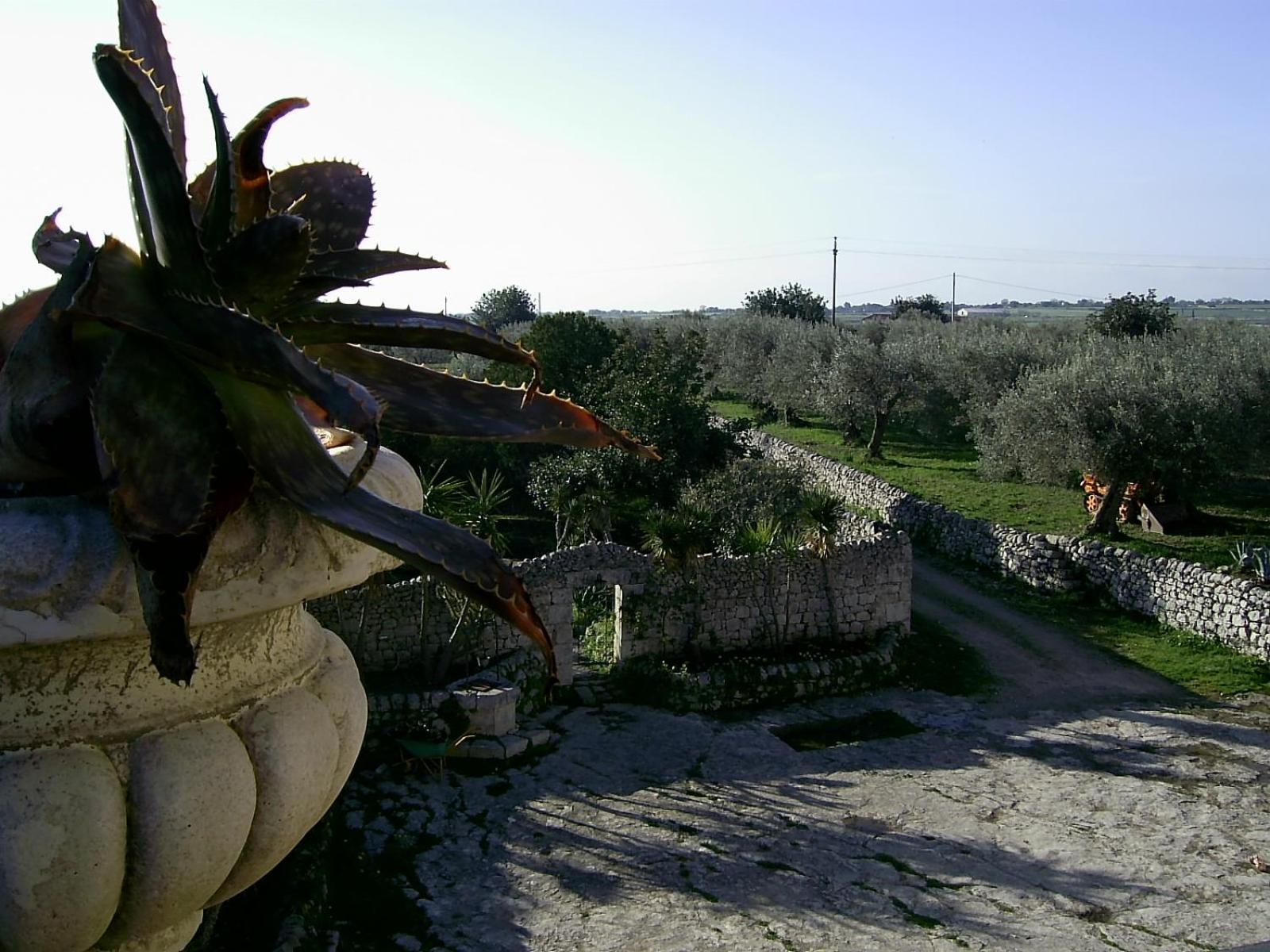 Agriturismo Baglio Calanchi Модіка Екстер'єр фото